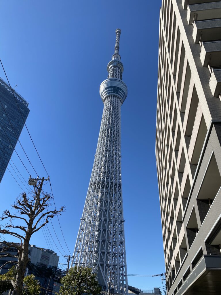 1年生　校外学習