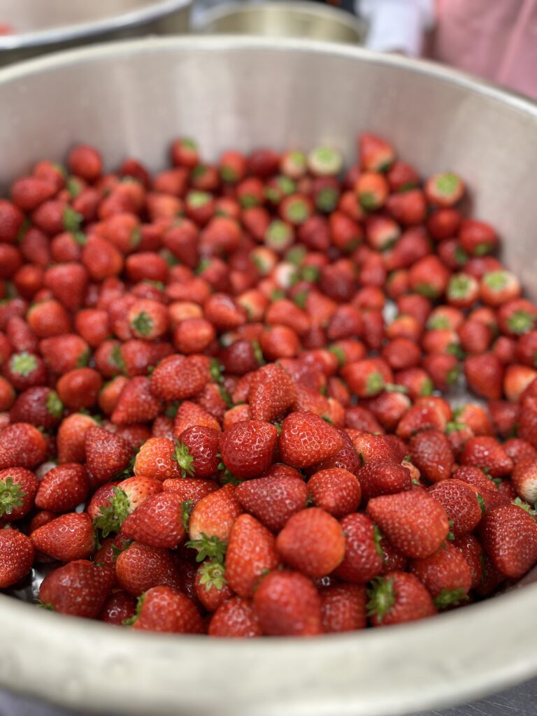 真っ赤ないちご🍓